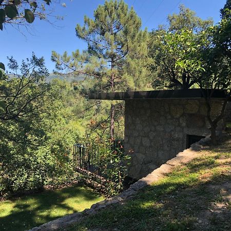 Sobreiro Valley - Casa Firmino ヴィエイラ・ド・ミーニョ エクステリア 写真