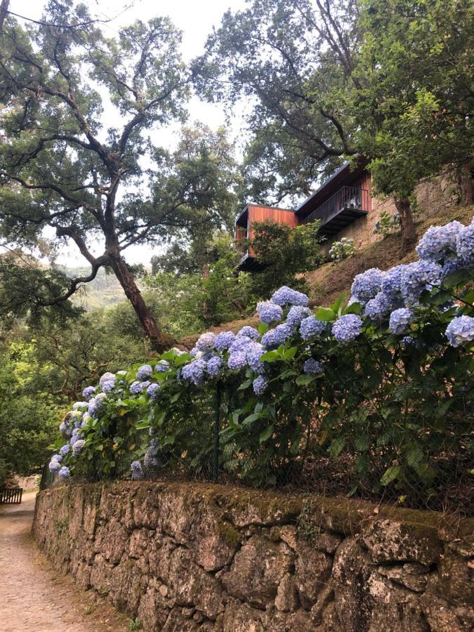 Sobreiro Valley - Casa Firmino ヴィエイラ・ド・ミーニョ エクステリア 写真