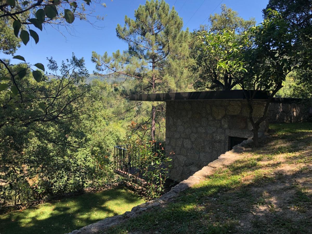 Sobreiro Valley - Casa Firmino ヴィエイラ・ド・ミーニョ エクステリア 写真
