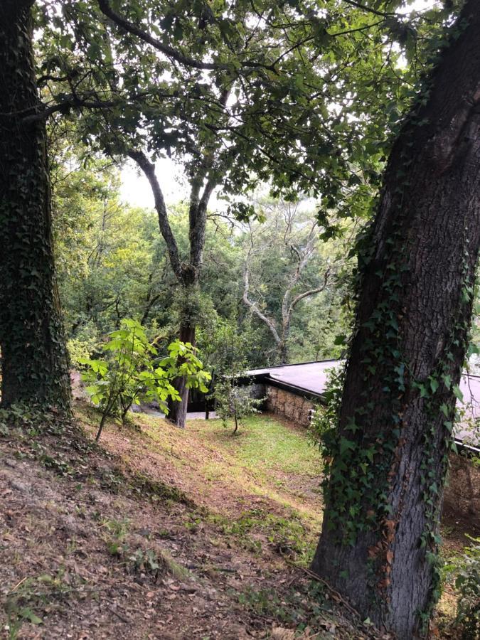 Sobreiro Valley - Casa Firmino ヴィエイラ・ド・ミーニョ エクステリア 写真