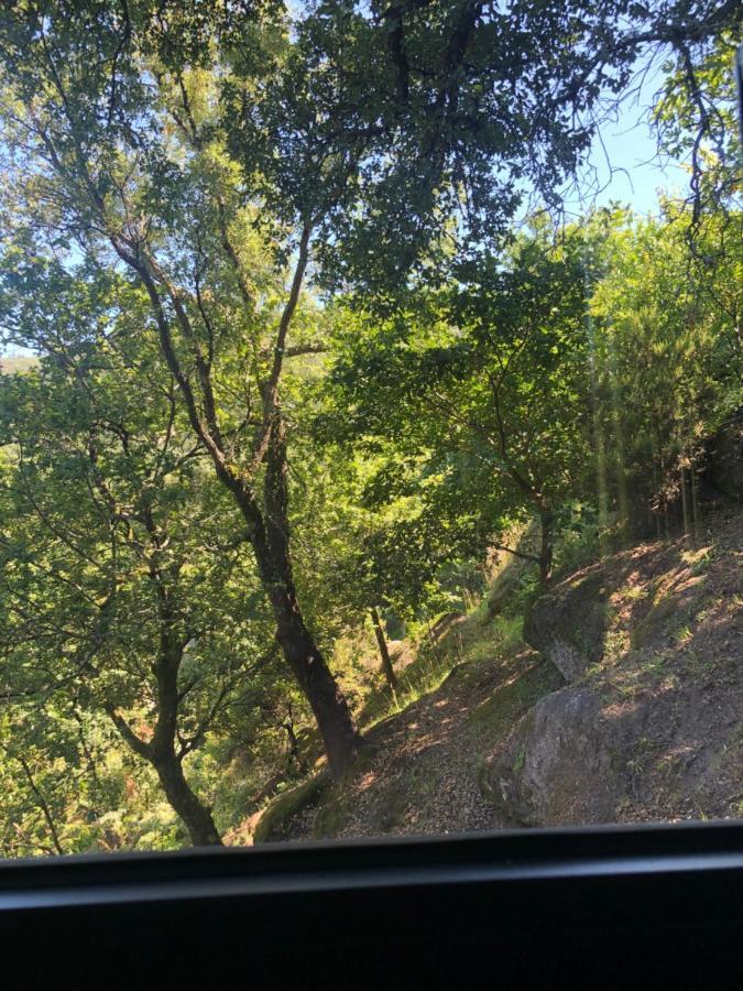 Sobreiro Valley - Casa Firmino ヴィエイラ・ド・ミーニョ エクステリア 写真