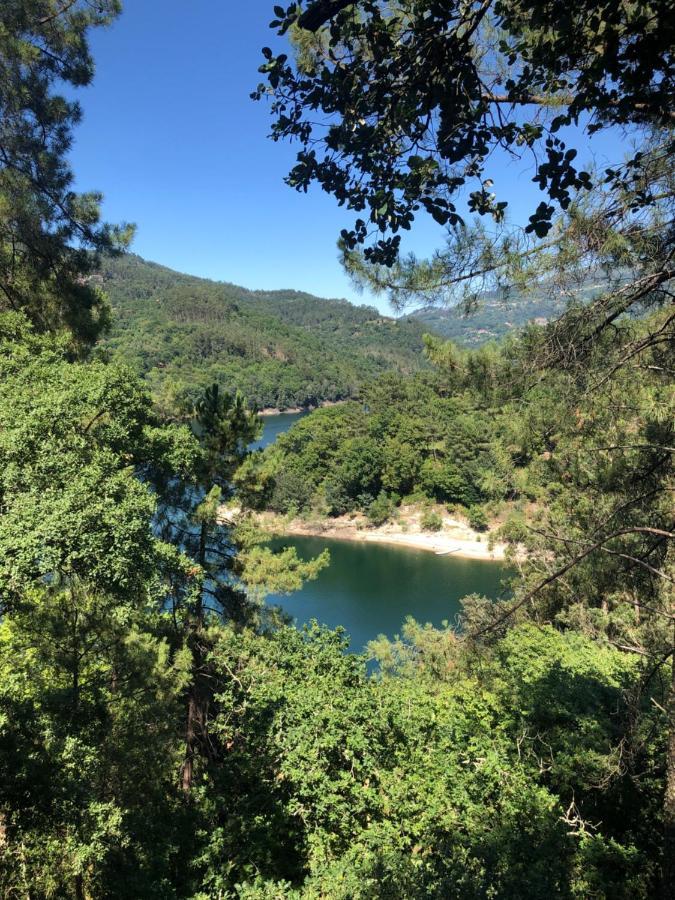 Sobreiro Valley - Casa Firmino ヴィエイラ・ド・ミーニョ エクステリア 写真