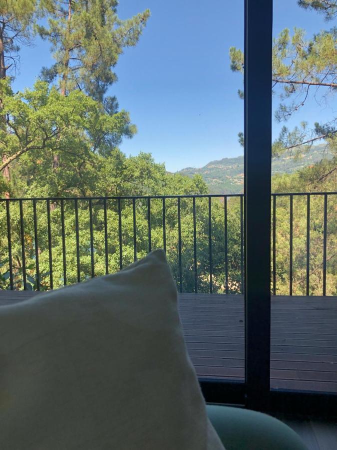 Sobreiro Valley - Casa Firmino ヴィエイラ・ド・ミーニョ エクステリア 写真
