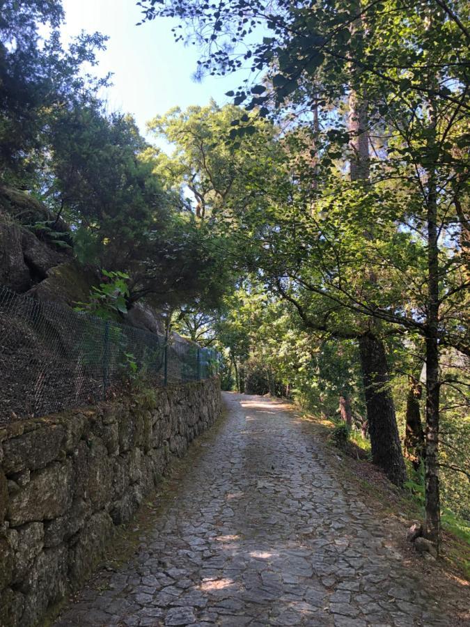 Sobreiro Valley - Casa Firmino ヴィエイラ・ド・ミーニョ エクステリア 写真
