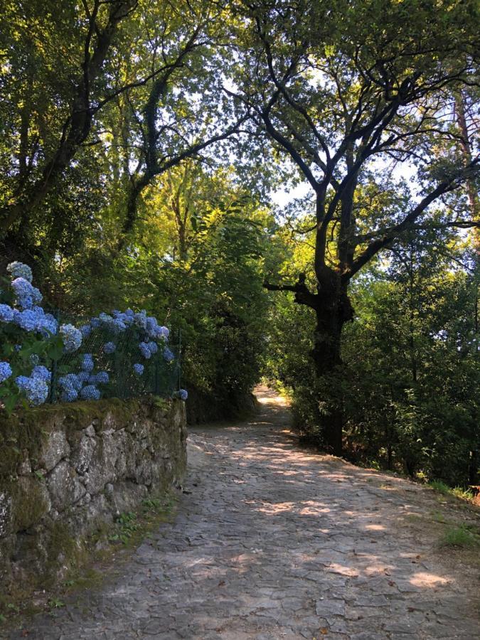 Sobreiro Valley - Casa Firmino ヴィエイラ・ド・ミーニョ エクステリア 写真