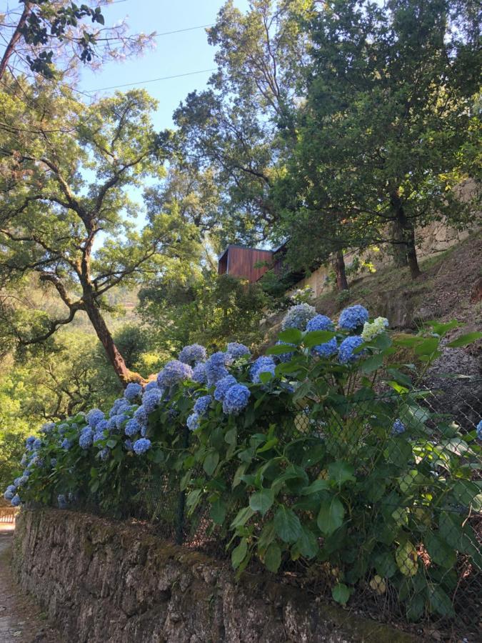 Sobreiro Valley - Casa Firmino ヴィエイラ・ド・ミーニョ エクステリア 写真