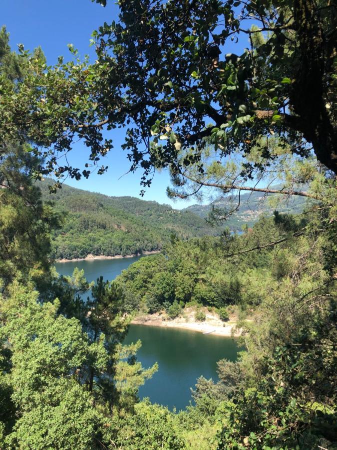 Sobreiro Valley - Casa Firmino ヴィエイラ・ド・ミーニョ エクステリア 写真