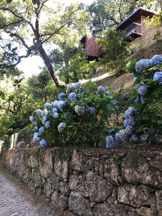Sobreiro Valley - Casa Firmino ヴィエイラ・ド・ミーニョ エクステリア 写真